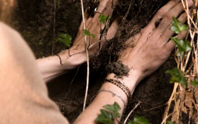Une journée pour se (re)connecter à soi et au vivant à travers la nature, le corps et les sens